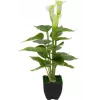 EUROPALMS Calla mini kunstmatige Calla-lelie plant, wit, 43 cm 82540347