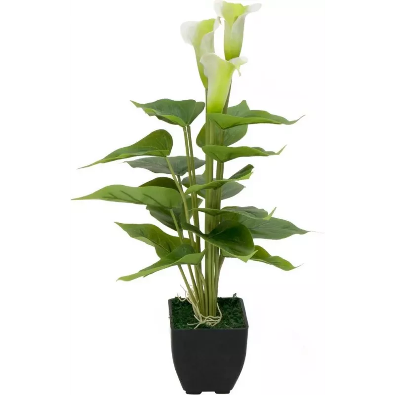 EUROPALMS Calla mini kunstmatige Calla-lelie plant, wit, 43 cm 82540347
