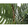 EUROPALMS Kentia palm kunstplant 140cm 82511361