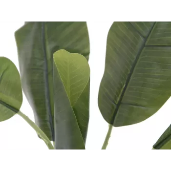 EUROPALMS kunstmatige bananenplant, 100cm, groene bladeren, zwarte pot 82509503