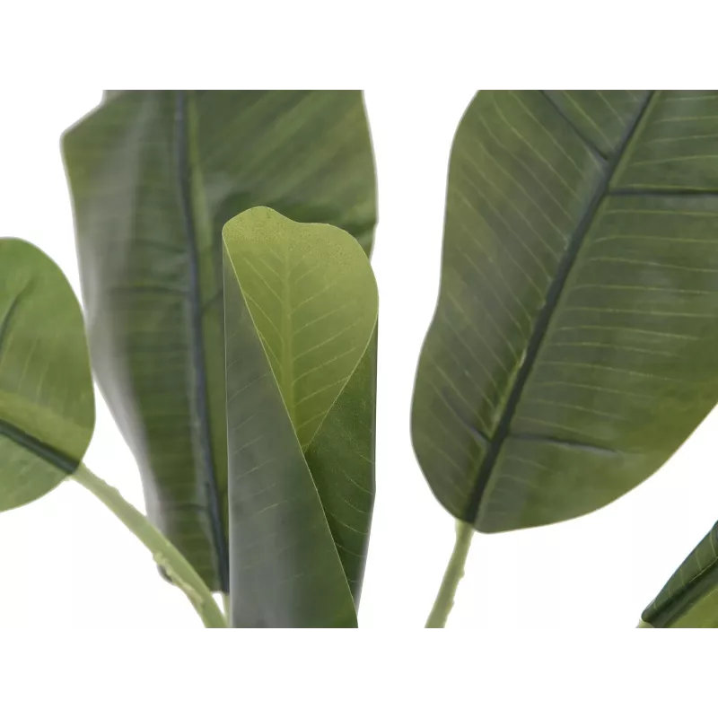 EUROPALMS kunstmatige bananenplant, 100cm, groene bladeren, zwarte pot 82509503