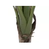 EUROPALMS kunstmatige bananenplant, 100cm, groene bladeren, zwarte pot 82509503