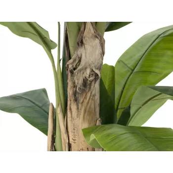 EUROPALMS kunstmatige bananenboom, 170cm, groene bladeren, zwarte pot 82509539