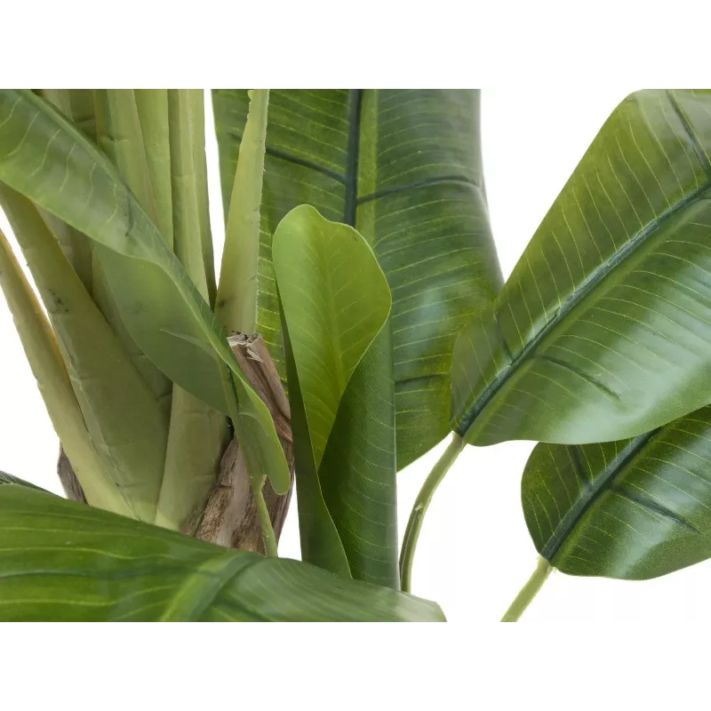 EUROPALMS kunstmatige bananenboom, 170cm, groene bladeren, zwarte pot 82509539