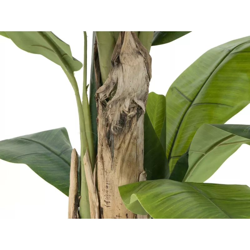 EUROPALMS kunstmatige bananenboom, 170cm, groene bladeren, zwarte pot 82509539