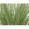 EUROPALMS kunstmatig siergras, 65 cm, groen, zwarte pot 82600145