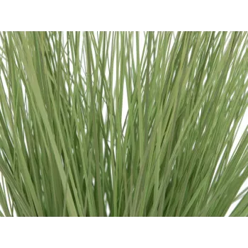 EUROPALMS kunstmatig siergras, 65 cm, groen, zwarte pot 82600145