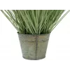 EUROPALMS kunstmatig siergras, 65 cm, groen, zwarte pot 82600145