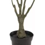 EUROPALMS kunstmatige Dracaena-plant, groen-rood, 90cm 82505778