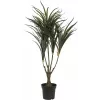 EUROPALMS kunstmatige Dracaena-plant, groen-rood, 90cm 82505778