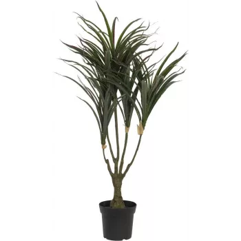 EUROPALMS kunstmatige Dracaena-plant, groen-rood, 90cm 82505778
