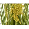 EUROPALMS kunstmatige rietgrasbundel, 118 cm 82600136