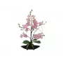 EUROPALMS Orchid Arrangement (EVA), kunstmatig, violet (82530339)