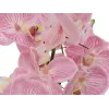 EUROPALMS Orchid Arrangement (EVA), kunstmatig, violet (82530339)