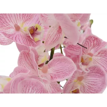 EUROPALMS Orchid Arrangement (EVA), kunstmatig, violet (82530339)