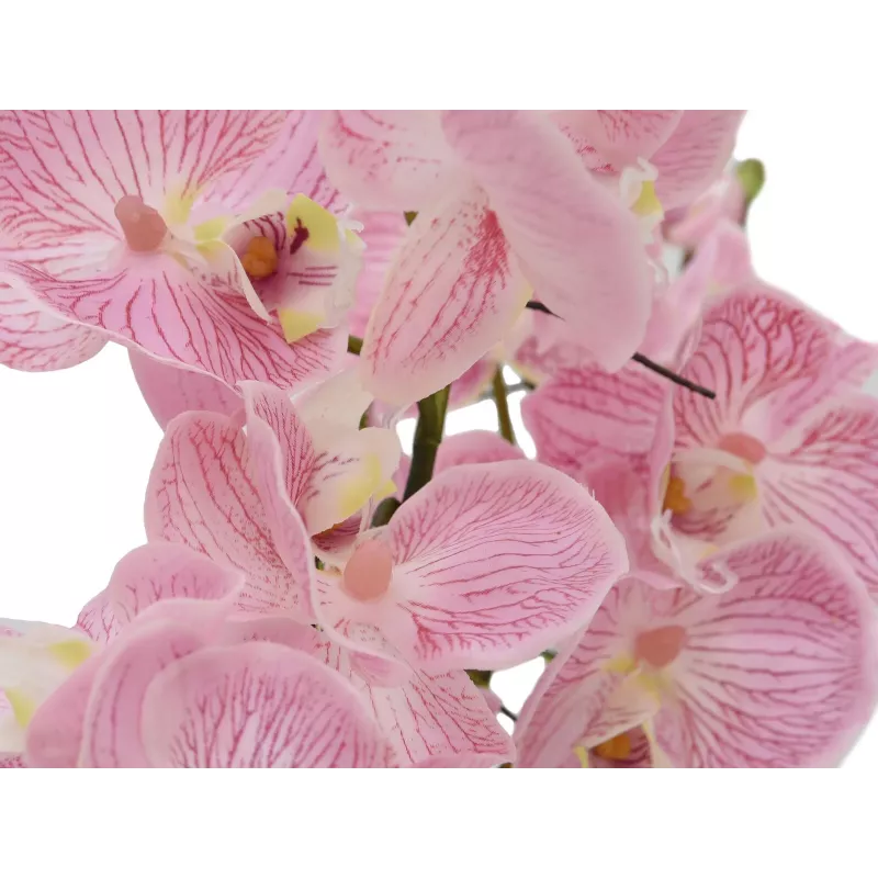 EUROPALMS Orchid Arrangement (EVA), kunstmatig, violet (82530339)