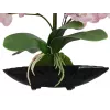 EUROPALMS Orchid Arrangement (EVA), kunstmatig, violet (82530339)
