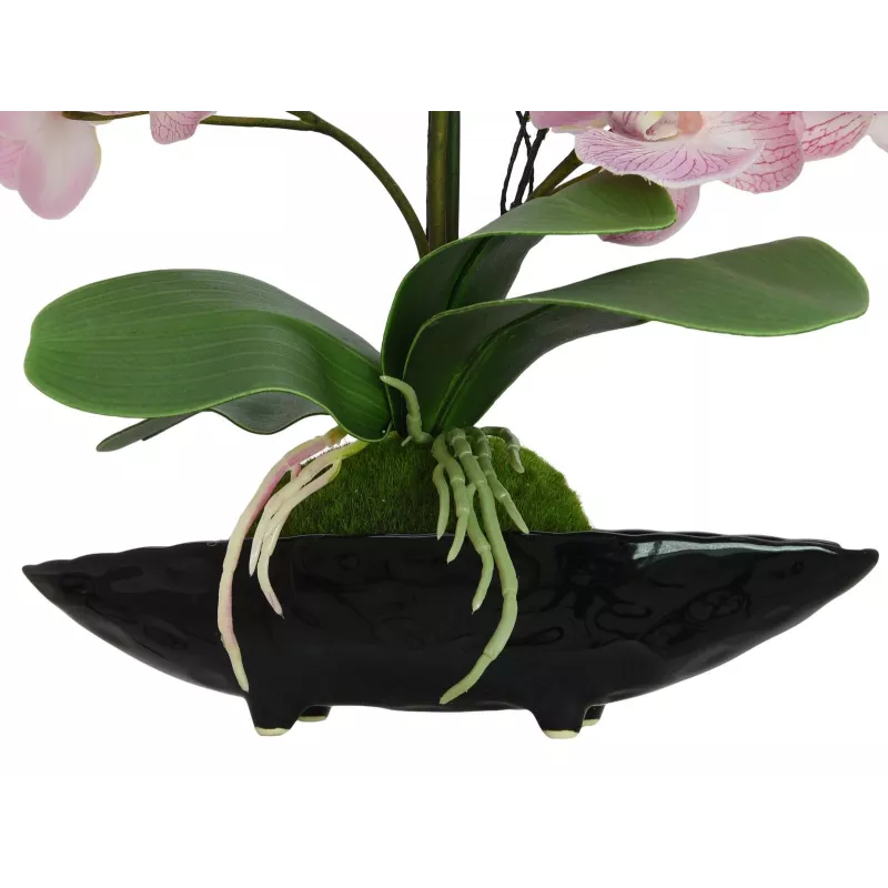 EUROPALMS Orchid Arrangement (EVA), kunstmatig, violet (82530339)