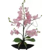 EUROPALMS Orchid Arrangement (EVA), kunstmatig, violet (82530339)