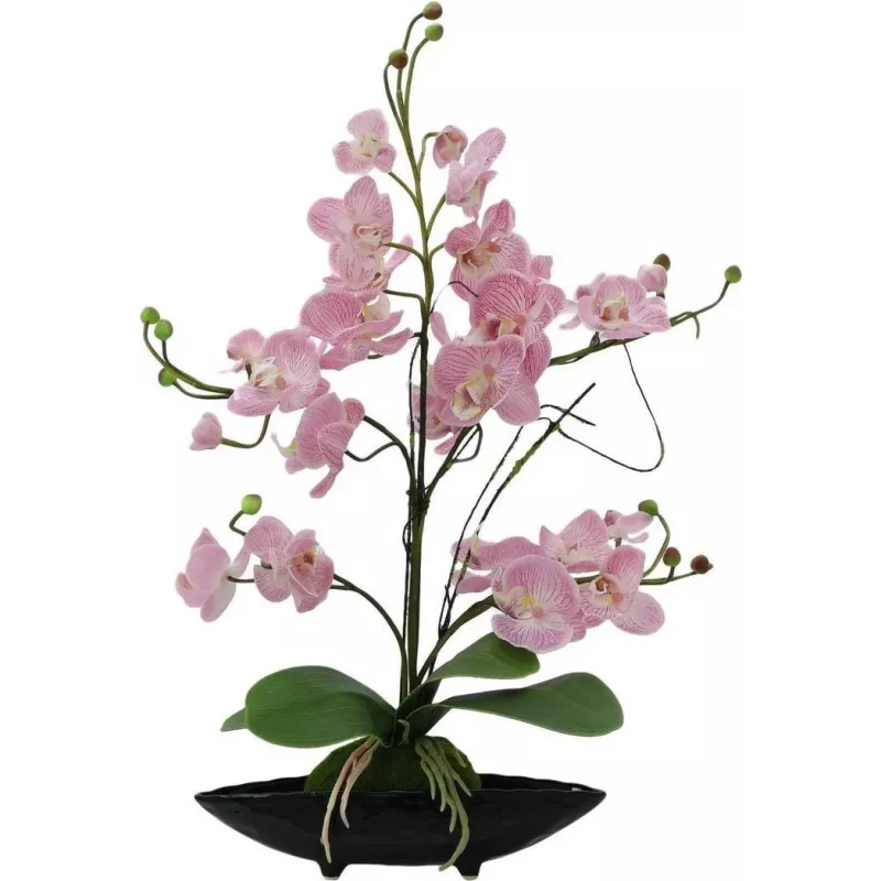 EUROPALMS Orchid Arrangement (EVA), kunstmatig, violet (82530339)