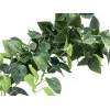 EUROPALMS Pothos struik-scherm Classic, kunstmatig, 100 cm 82502203