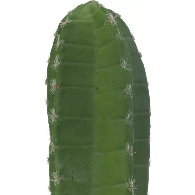 EUROPALMS Mexicaanse cactus kunstplant, groen, 97 cm 82801070