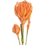 EUROPALMS kunstdahliatak (EVA), oranje 82530582