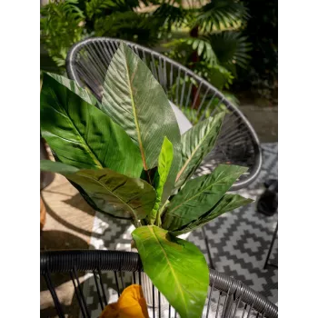 EUROPALMS kunstmatige snijbietstruik, 45 cm, groen 82508302