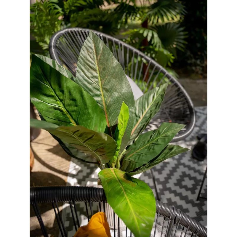EUROPALMS kunstmatige snijbietstruik, 45 cm, groen 82508302