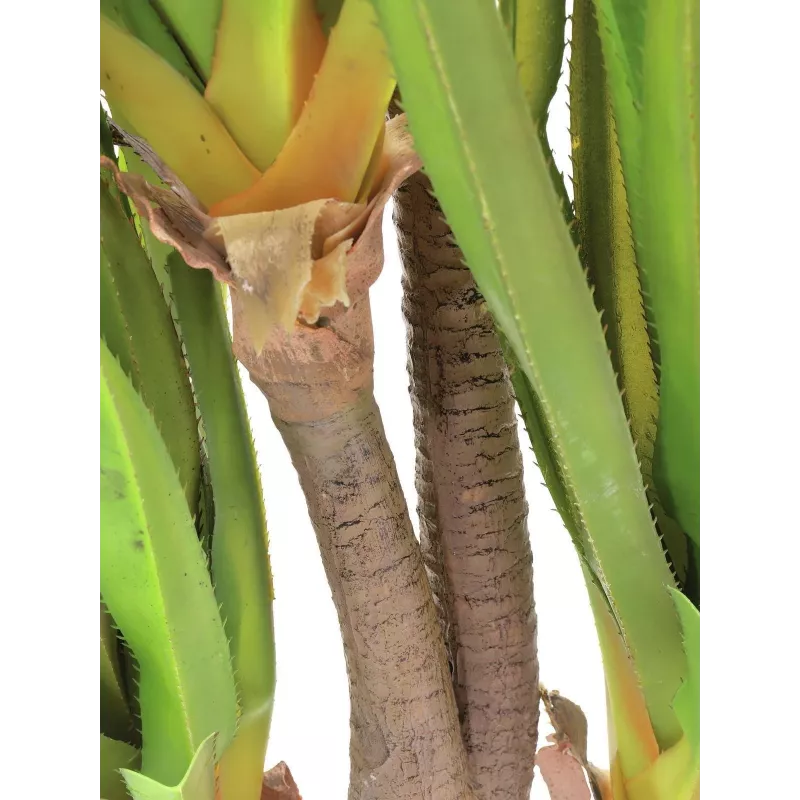 EUROPALMS Sabretooth agave kunstplant, 185 cm 82600030