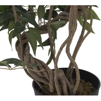 EUROPALMS Ficus multi spiral trunk kunstplant, 130 cm 82806314