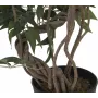 EUROPALMS Ficus multi spiral trunk kunstplant, 130 cm 82806314