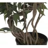 EUROPALMS Ficus multi spiral trunk kunstplant, 130 cm 82806314