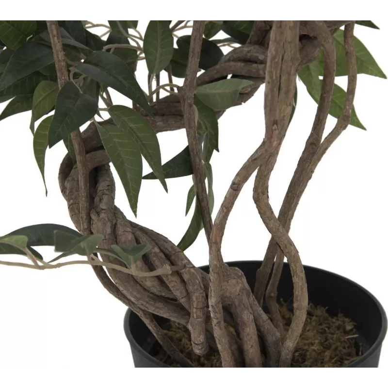EUROPALMS Ficus multi spiral trunk kunstplant, 130 cm 82806314