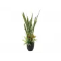 EUROPALMS succulentenmix kunstplant, 190 cm 82600035
