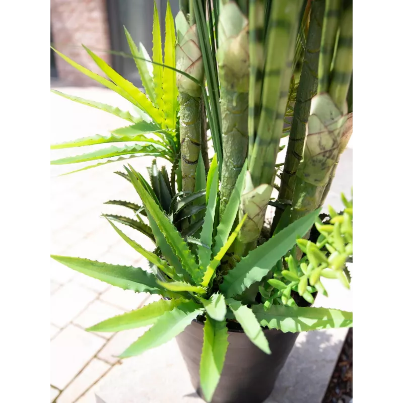 EUROPALMS succulentenmix kunstplant, 190 cm 82600035