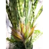 EUROPALMS succulentenmix kunstplant, 190 cm 82600035