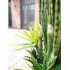 EUROPALMS succulentenmix kunstplant, 190 cm 82600035