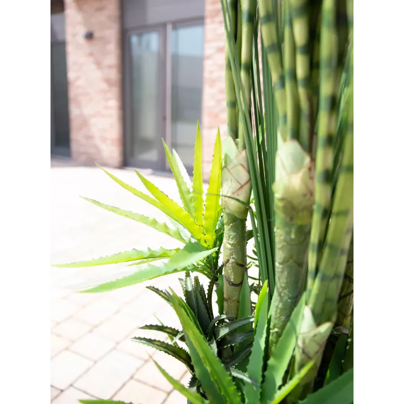EUROPALMS succulentenmix kunstplant, 190 cm 82600035