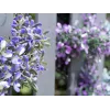 EUROPALMS kunstmatige lavendelslinger, violet, 180 cm 82503727
