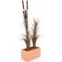 EUROPALMS kunstmatig rietgras met aren, donkerbruin, 152 cm 82505857