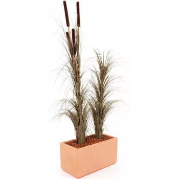 EUROPALMS kunstmatig rietgras met aren, donkerbruin, 152 cm 82505857