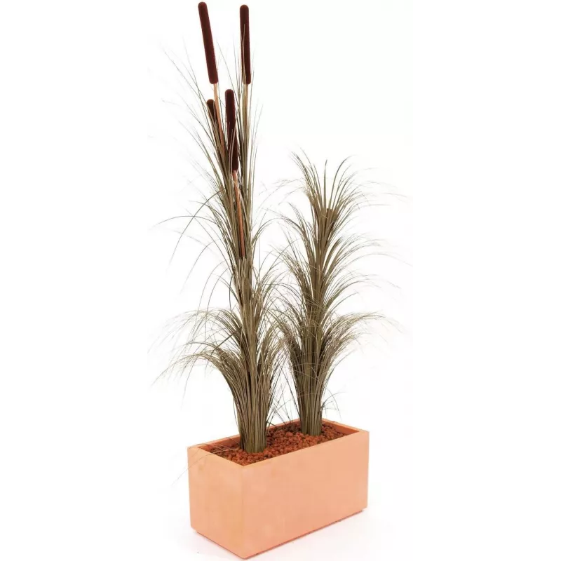 EUROPALMS kunstmatig rietgras met aren, donkerbruin, 152 cm 82505857