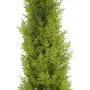 EUROPALMS Leyland-cipres kunstplant, 120 cm, groen blad, zwarte pot 82606964