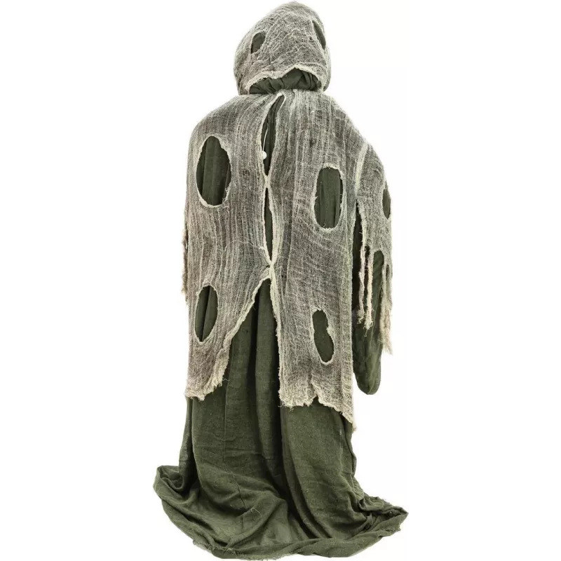 EUROPALMS halloween-heks, groen, 145x70x66 cm 83314673