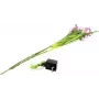 EUROPALMS Arum Lily 3-set met LED's, roze, 85 cm 83330304