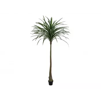 EUROPALMS Dracena kunstplant, groen, 220 cm 82505798