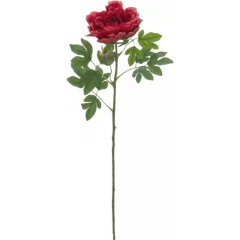 EUROPALMS Classic Peony Branch kunstplant, magenta, 80 cm 82530211