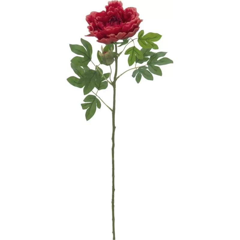 EUROPALMS Classic Peony Branch kunstplant, magenta, 80 cm 82530211