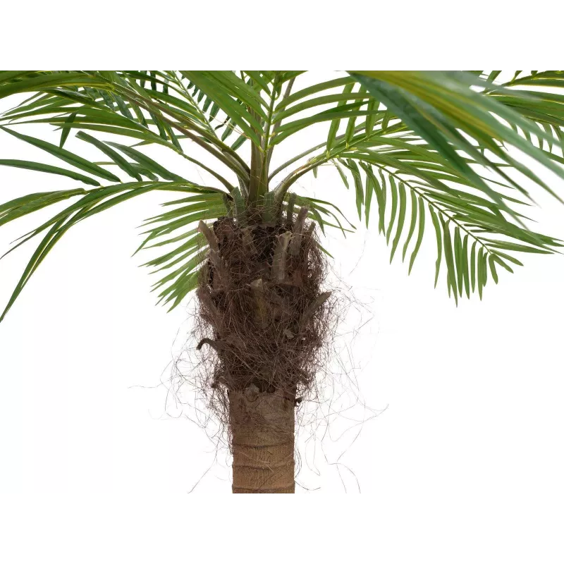 EUROPALMS Luxor gebogen kunstmatige phoenixpalm, 240 cm 82510726